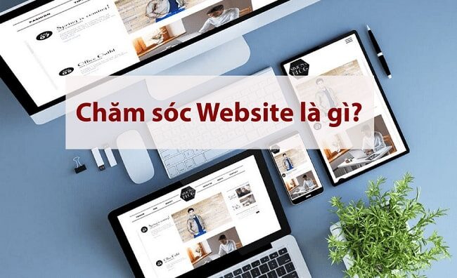 chăm sóc website chuyên nghiệp-VGT